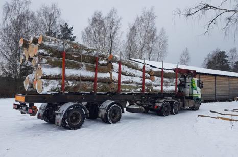 Transport i rozładunek drewna